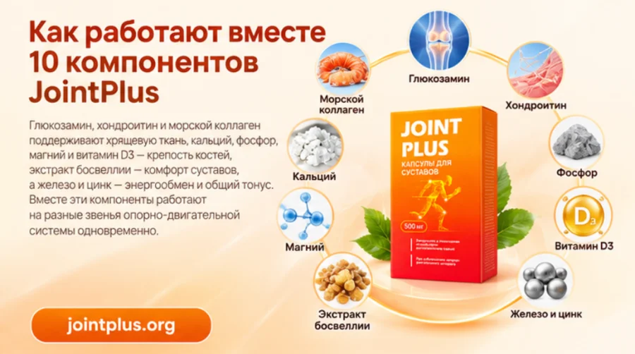 JointPlus — 10 компонентов формулы